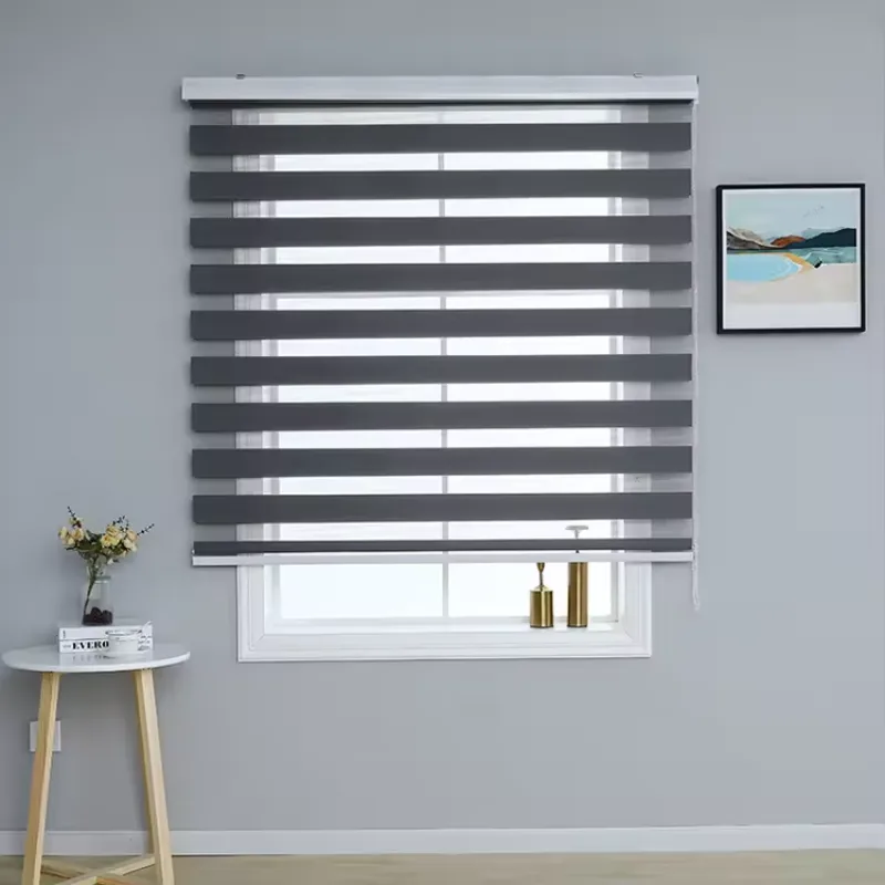 Cortinas Roller Duo