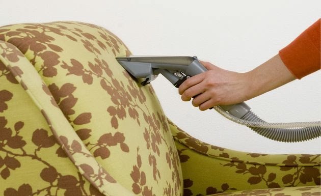 quitar el olor a perro del-sofa